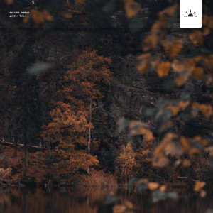 default album img