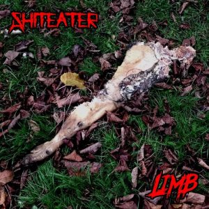 ดาวน์โหลดและฟังเพลง Limb (Explicit) พร้อมเนื้อเพลงจาก Shiteater
