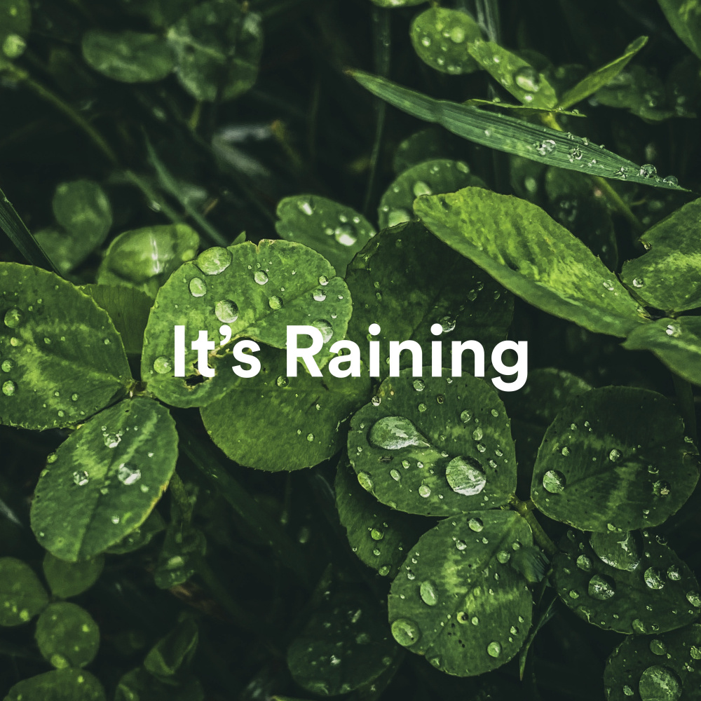 The Rain is Over