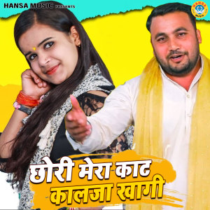 Amit Choudhary的專輯Chhori Mera Kaat Kaalja Khagi