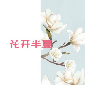 收聽淺夏的你的樣子 (完整版)歌詞歌曲