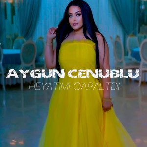 Listen to Heyatımı Qaraltdı song with lyrics from Aygun Cenublu