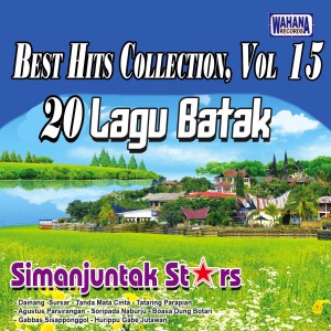 Album Best Hits Collection, Vol. 15 oleh Various