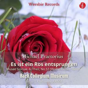 Listen to Es ist ein Ros entsprungen song with lyrics from Jorge J. Collantes