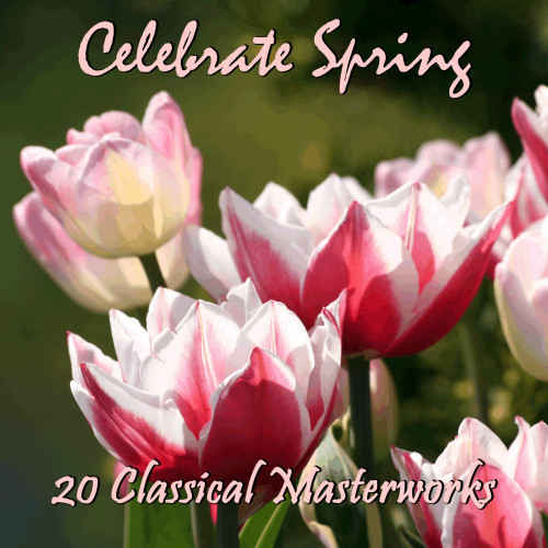 Nocturne No. 2 in D-Flat Major, Op. 27