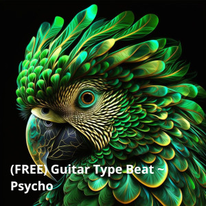 收听Prodbyjohnson的Psycho Guitar Trap Beat歌词歌曲