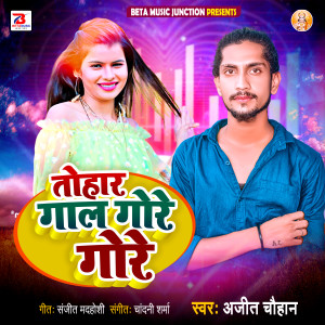 Listen to Tohar Gal Gore Gore song with lyrics from Ajit Chauhan