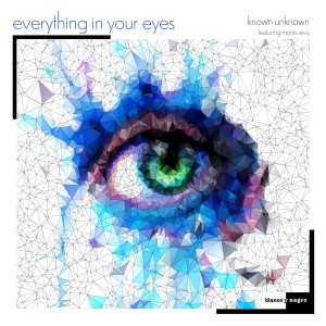 ดาวน์โหลดและฟังเพลง Everything in Your Eyes (Hector Merida's Space Disco Remix) พร้อมเนื้อเพลงจาก Known Unknown
