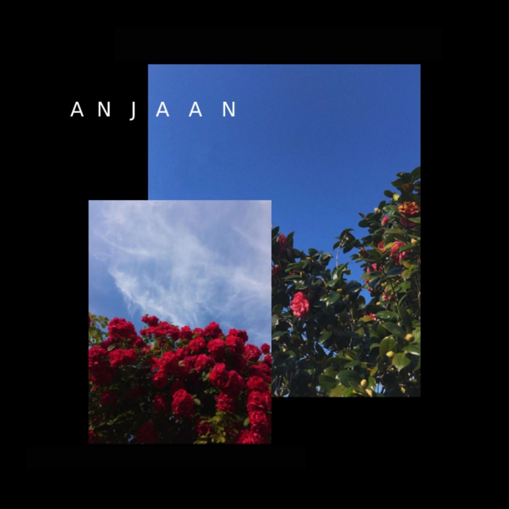 Anjaan (Explicit)