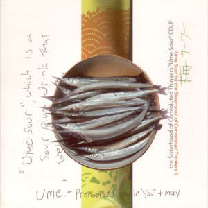 收聽The Sisterhood of Convoluted Thinkers的Sayuri歌詞歌曲