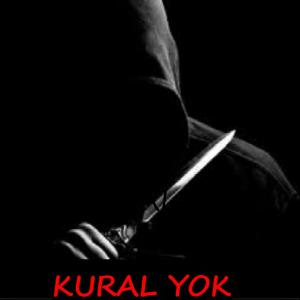 Listen to Zaman Durdu song with lyrics from Serin Karataş