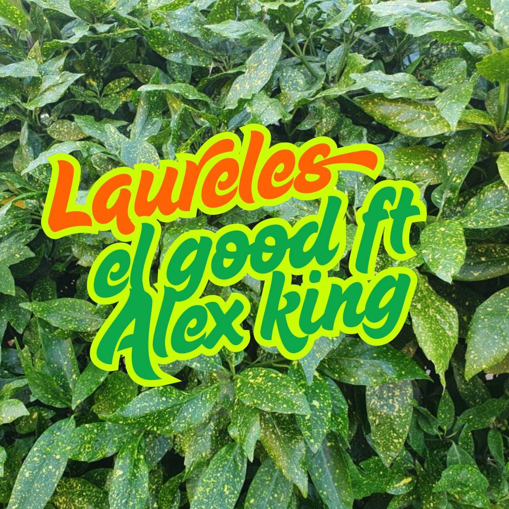 Laureles