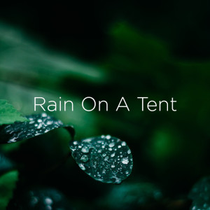 ดาวน์โหลดและฟังเพลง Light Rain Tapping Asmr พร้อมเนื้อเพลงจาก Rain Sounds