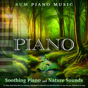 ดาวน์โหลดและฟังเพลง Some Piano For Sleep พร้อมเนื้อเพลงจาก Sum Piano Music