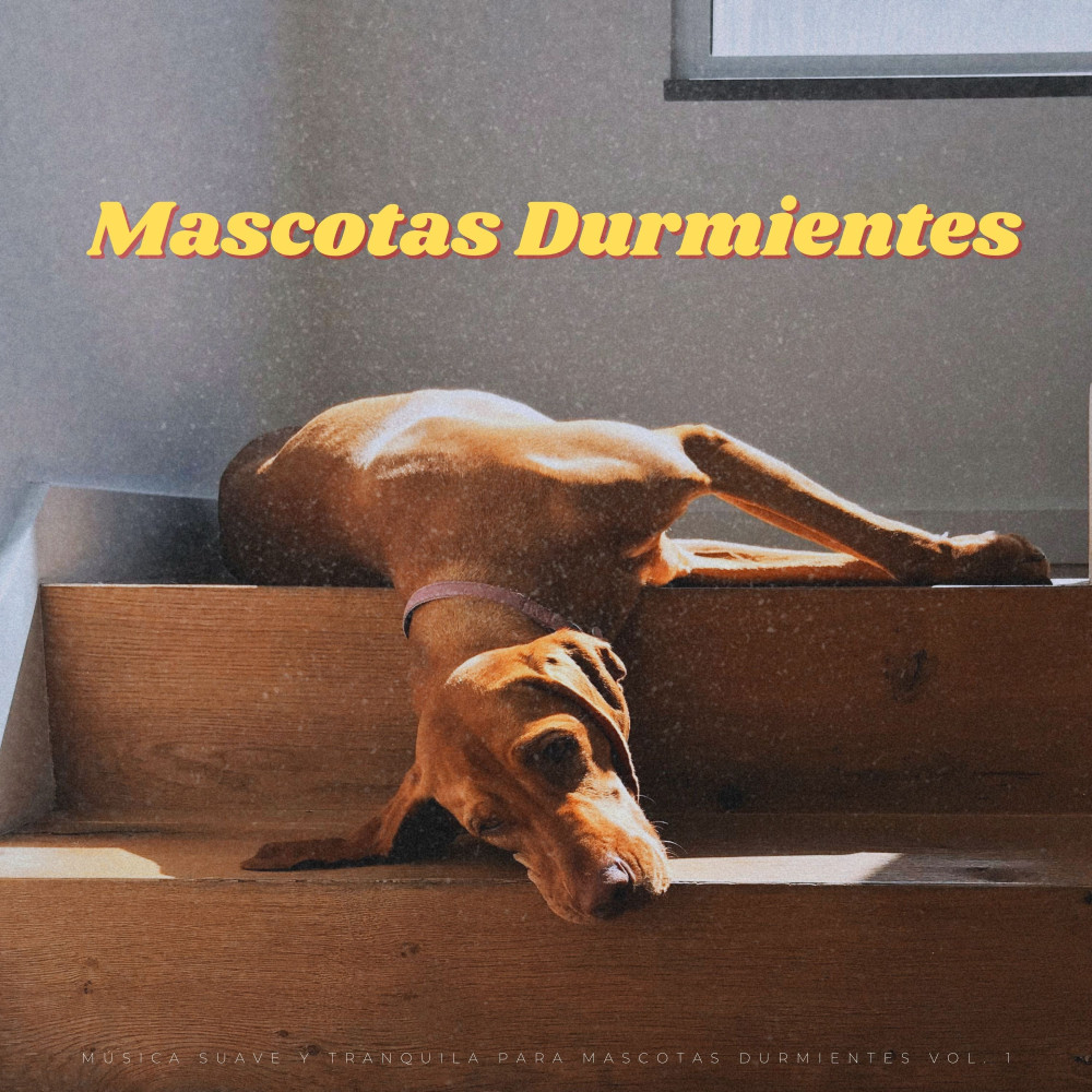 Música Perfecta Para Dormir
