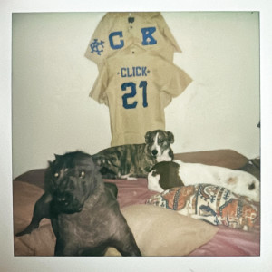 Album C.L.I.C.K. (Explicit) from Click Head