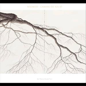 收聽WSDM333的Waves歌詞歌曲