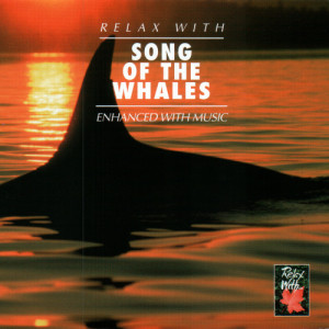 收聽Various Artists的Song of the Whales (Enhanced With Music)歌詞歌曲