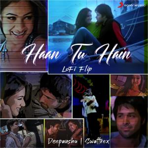 Album Haan Tu Hain (Lofi Flip) from Pritam