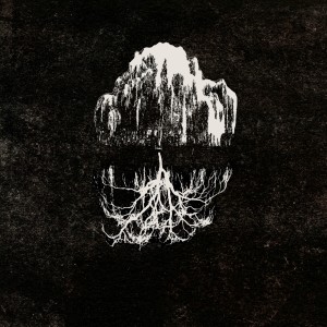 收聽Tania Pereira的Sauce Llorón歌詞歌曲