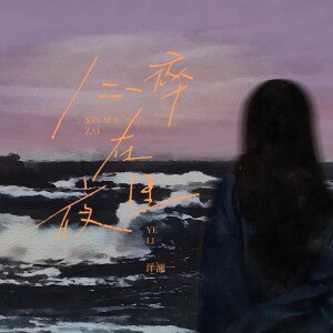 洋瀾一的專輯心碎在夜裏