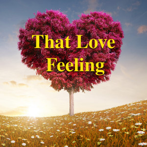 Listen to I'll Make Love To You (其他) song with lyrics from Panpipes Romantics