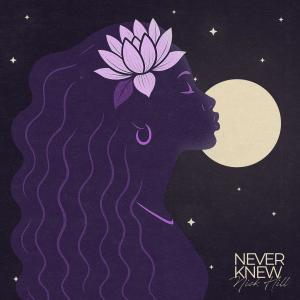 收聽Nick Hill的Never Knew歌詞歌曲