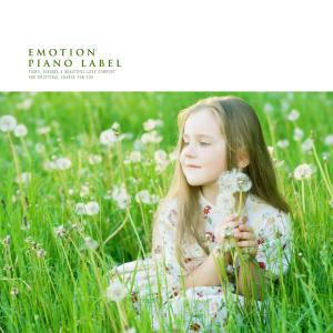 Various Artists的專輯A Collection Of Prenatal Music For Child Clear Mind (Prenatal Piano)