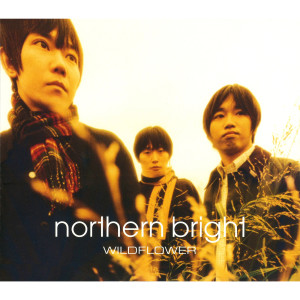 收聽NORTHERN BRIGHT的Wildflower (Album Version)歌詞歌曲