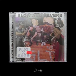 收聽Fijg的D.$.P (feat. 22gfay) (Slowed & Reverb) (Explicit)歌詞歌曲