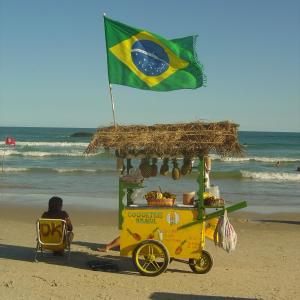 YFV $1LVA的專輯Brazil (feat. Switch The Mc & Yung Fire) [Explicit]