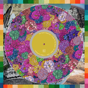 Listen to 84 Palms song with lyrics from Ackerman