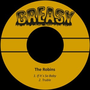 ดาวน์โหลดและฟังเพลง Truble พร้อมเนื้อเพลงจาก The Robins