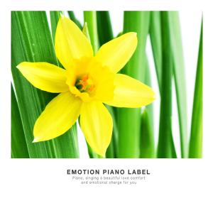 Listen to Memorize A Spell Of Happiness song with lyrics from Melody Canvas