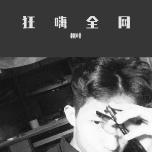 收听枫叶的辽中蹦迪（Remix） (Remix)歌词歌曲