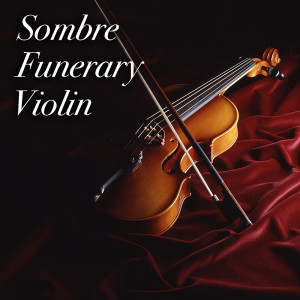 Listen to The Sombre Coquetry Of Death song with lyrics from The Guild of Funerary Violinists