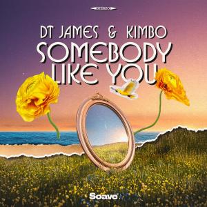 收聽DT James的Somebody Like You歌詞歌曲
