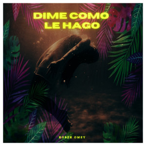 Listen to Dime Como Le Hago song with lyrics from Rober Omey