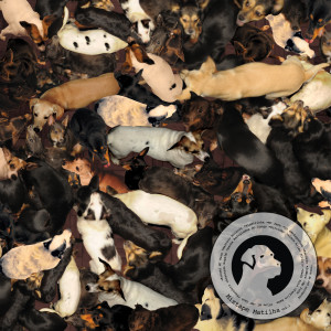 收聽Matilha Cultural的Casa de Marimbondo歌詞歌曲