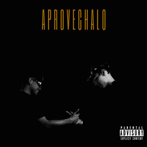 ดาวน์โหลดและฟังเพลง Aprovechalo พร้อมเนื้อเพลงจาก Ele Ekis