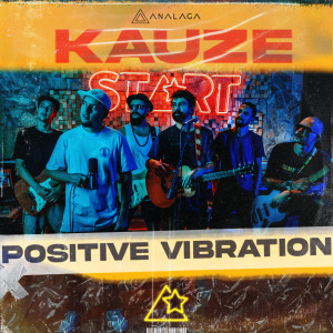 ANALAGA的專輯Positive Vibration