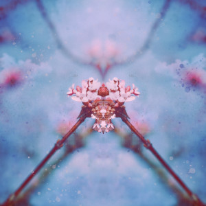 Album Breathless from 