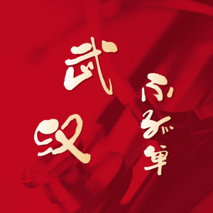Listen to 武汉不孤单 song with lyrics from 杨千霈