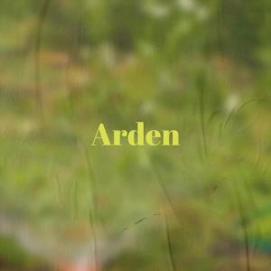 Listen to Towhees song with lyrics from Ches Harya