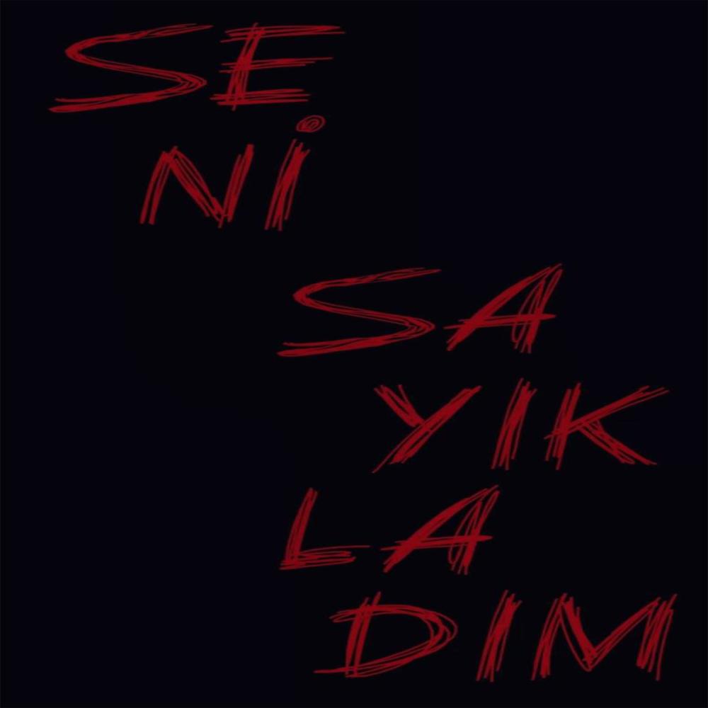 Seni Sayıkladım