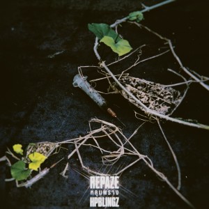 Album หลุมพราง (Explicit) from Repaze