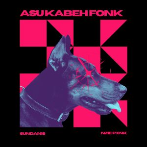 Listen to Asu Kabeh Fonk (Nzie Pxnk|Edit) song with lyrics from Sundanis