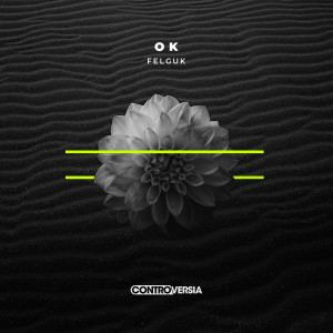 ดาวน์โหลดและฟังเพลง OK พร้อมเนื้อเพลงจาก Felguk