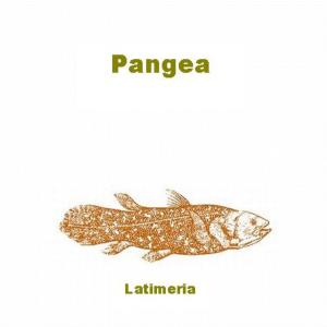 Listen to Totem Lesson song with lyrics from Pangea
