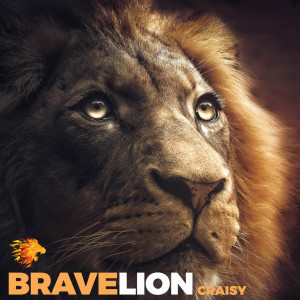 Listen to Craisy (VLOG Instrumental Version) song with lyrics from BraveLion